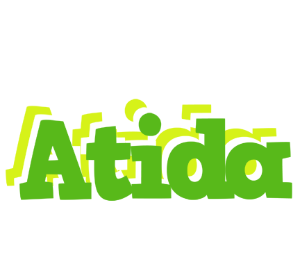 Atida picnic logo