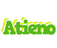 Atieno picnic logo