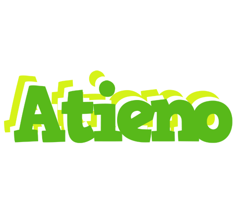 Atieno picnic logo