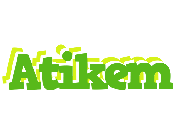 Atikem picnic logo