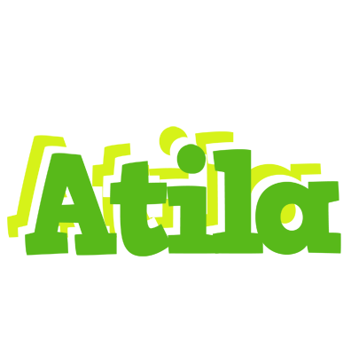 Atila picnic logo