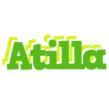 Atilla picnic logo