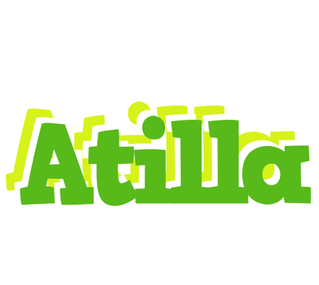 Atilla picnic logo