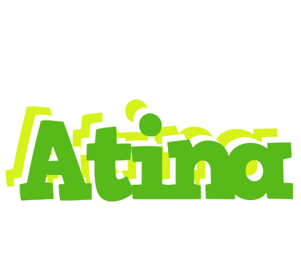 Atina picnic logo