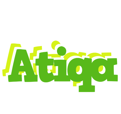 Atiqa picnic logo