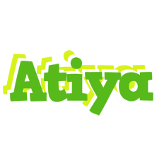 Atiya picnic logo