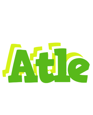 Atle picnic logo