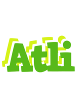 Atli picnic logo