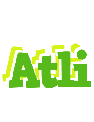 Atli picnic logo