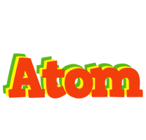 Atom bbq logo