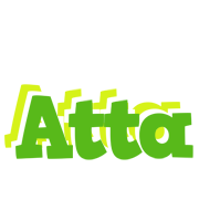 Atta picnic logo