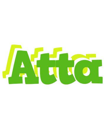 Atta picnic logo