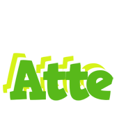 Atte picnic logo