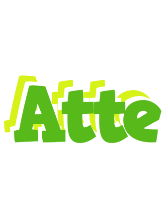 Atte picnic logo