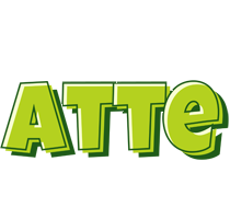 Atte summer logo