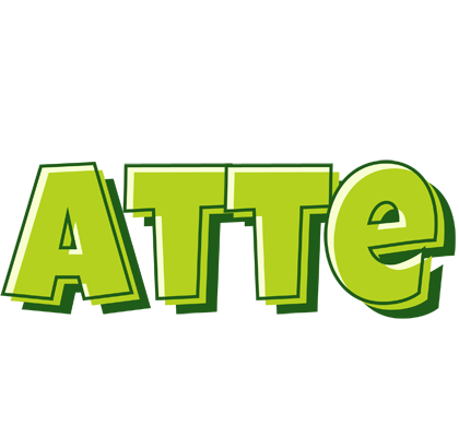 Atte summer logo
