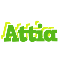 Attia picnic logo