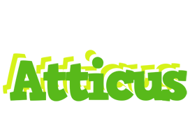 Atticus picnic logo