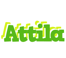 Attila picnic logo