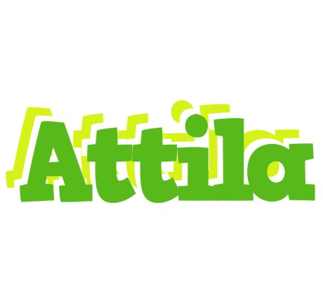Attila picnic logo