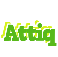 Attiq picnic logo