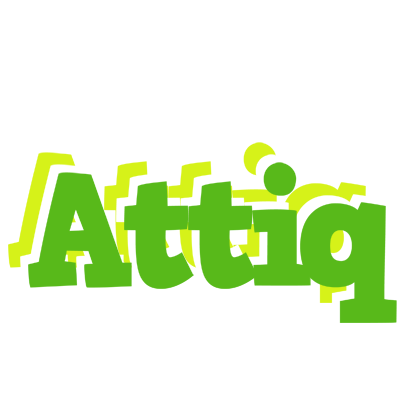 Attiq picnic logo