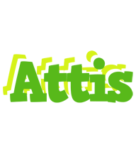 Attis picnic logo