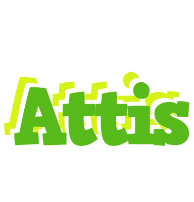 Attis picnic logo