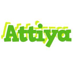 Attiya picnic logo