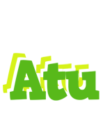 Atu picnic logo