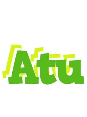 Atu picnic logo