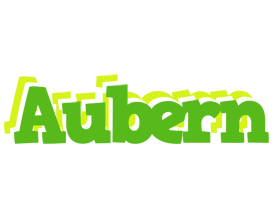 Aubern picnic logo