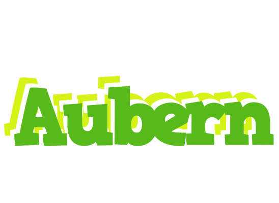 Aubern picnic logo