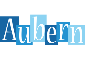 Aubern winter logo