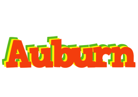 Auburn bbq logo