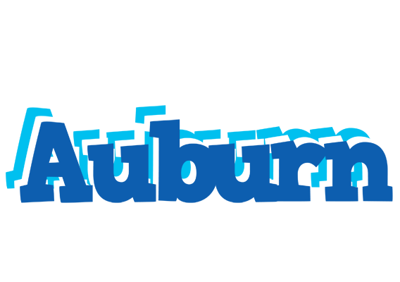 Auburn business logo