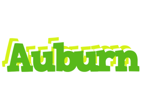 Auburn picnic logo
