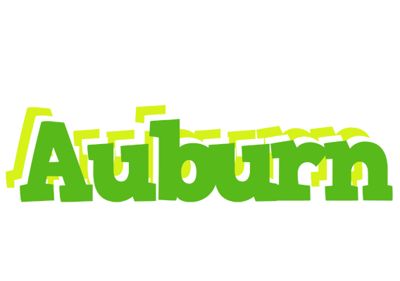 Auburn picnic logo