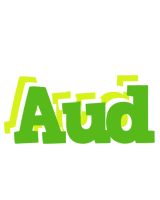 Aud picnic logo