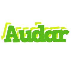 Audar picnic logo