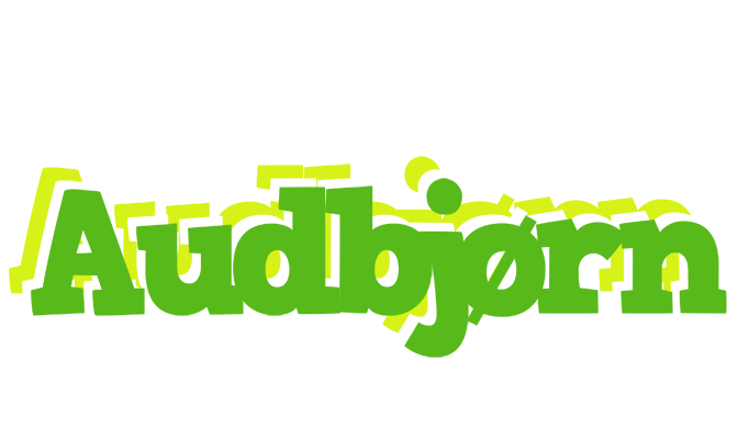Audbjørn picnic logo