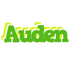 Auden picnic logo