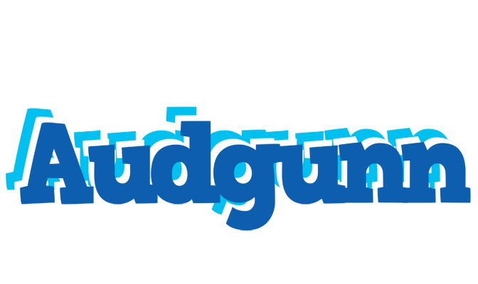 Audgunn business logo