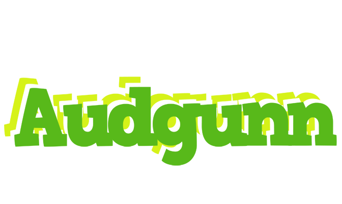 Audgunn picnic logo