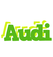 Audi picnic logo