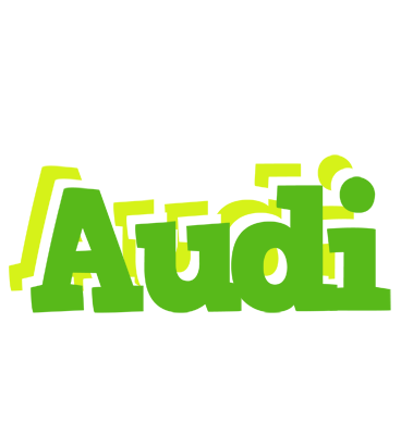 Audi picnic logo