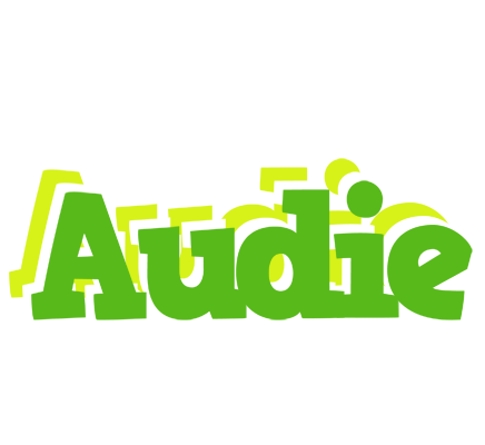 Audie picnic logo