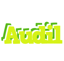 Audil citrus logo