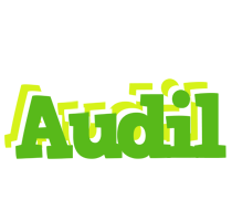 Audil picnic logo