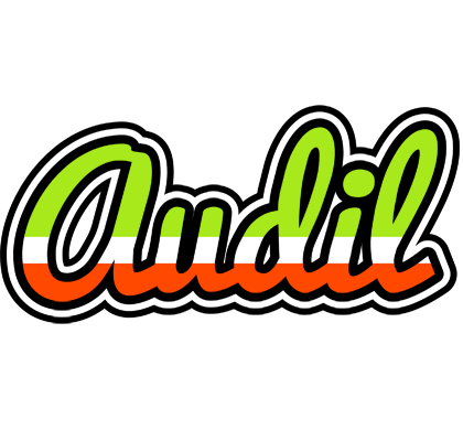 Audil superfun logo